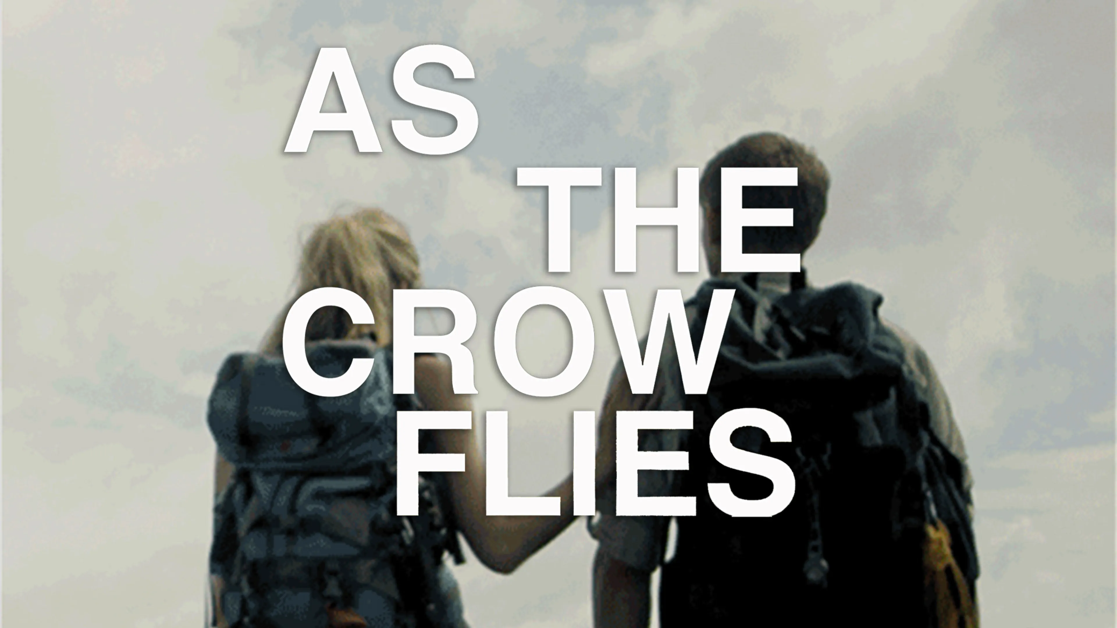 As The Crow Flies poster